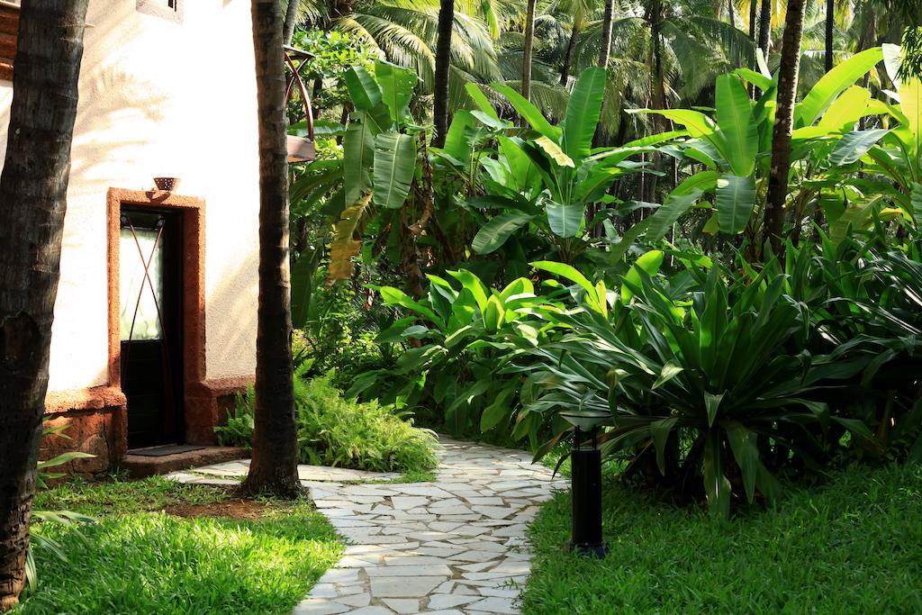 Coconut Creek Resort - Dabolim Airport Mormugao Exteriér fotografie